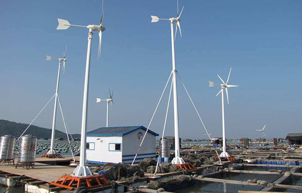 环保节能的小型风力发电机普遍应用于民用领域